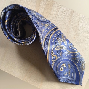 Resilio 100% Silk Paisley Tie (Necktie)‎